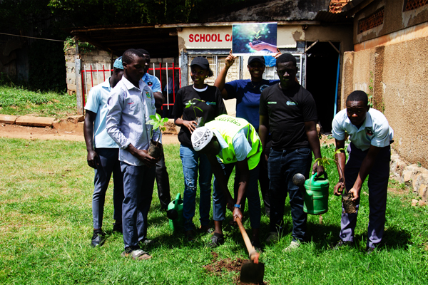 Image of a school fruit tree planting activity