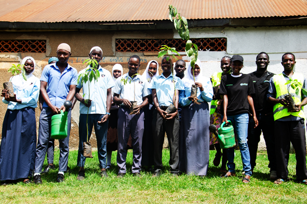 Image of a tree care workshop