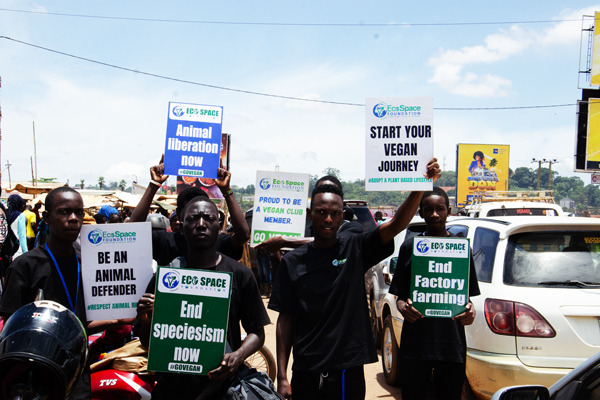 Public Demonstrations